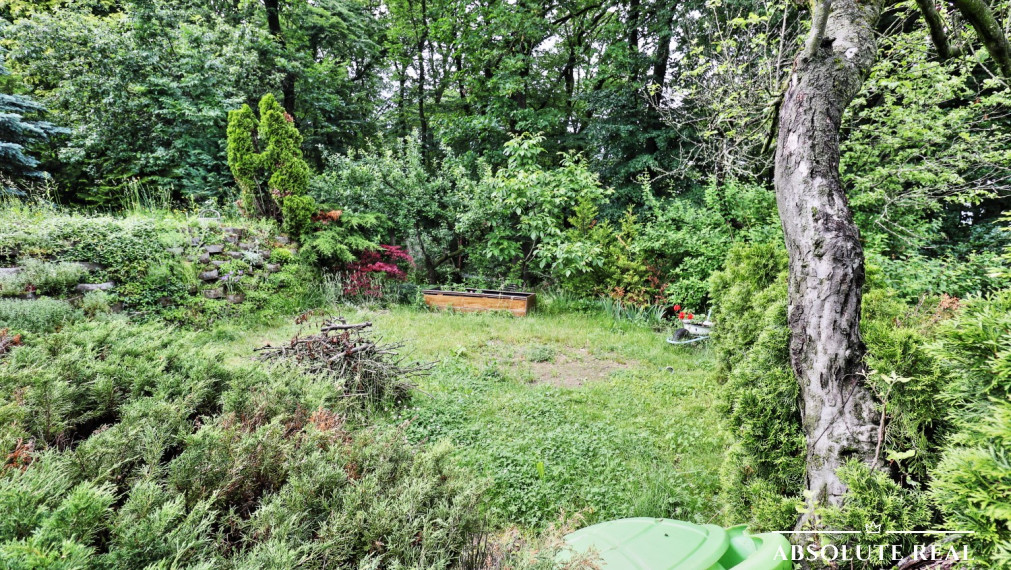 Krásna ZÁHRADA s chatou, 500 m2, BRATISLAVA – DÚBRAVKA, ELEKTRINA + VODA