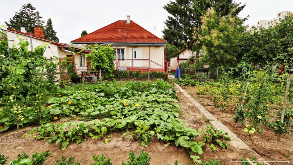 ABSOLUTE REAL / Stavebný pozemok 818 m2, ulica Na Grbe, Devínska Nová Ves, (voda, elektrina, plyn, kanalizácia, studňa - na pozemku), dostupná optika
