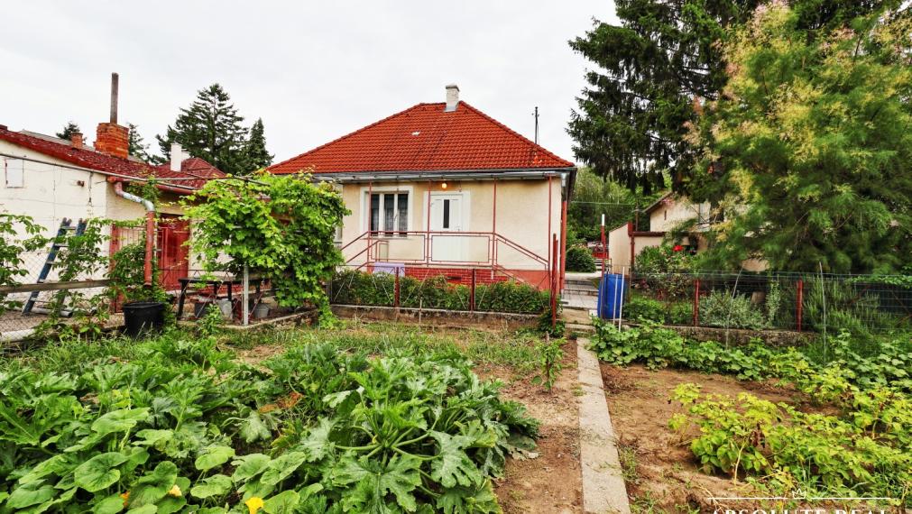 ABSOLUTE REAL / Stavebný pozemok 818 m2, ulica Na Grbe, Devínska Nová Ves, (voda, elektrina, plyn, kanalizácia, studňa - na pozemku), dostupná optika