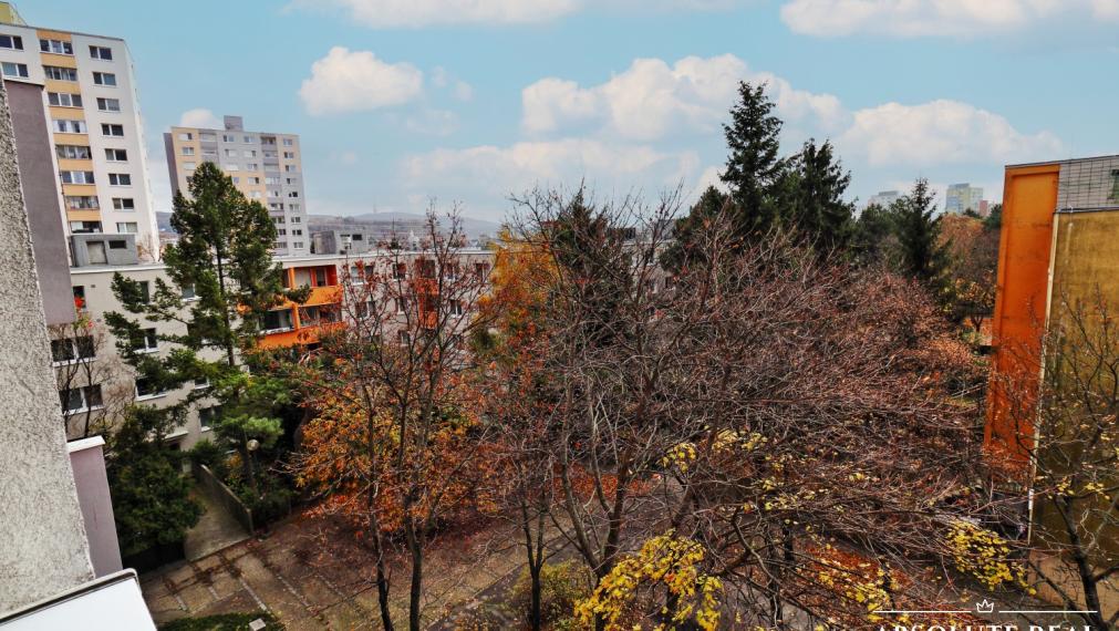 ABSOLUTE REAL / Pekný 1i byt v BA – Dúbravka, Drobného ulica, 33.02 m2, pivnica