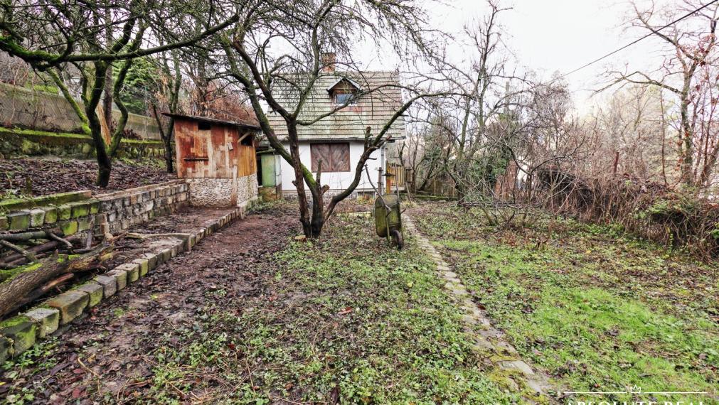 ABSOLUTE REAL / ZÁHRADA 364 m2, BRATISLAVA – DÚBRAVKA, Hanulova ulica, elektrina, mestská voda, oplotenie, chata