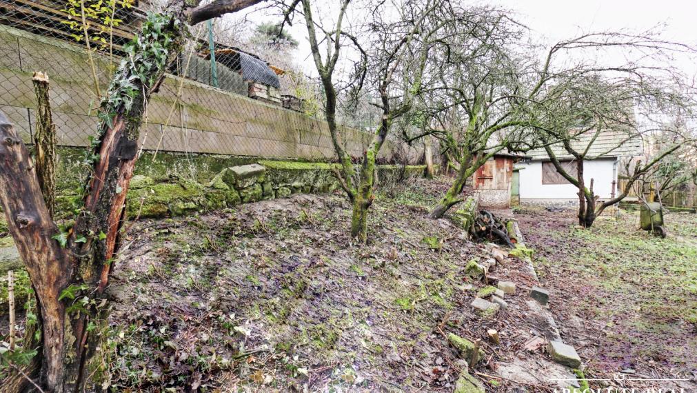 ABSOLUTE REAL / ZÁHRADA 364 m2, BRATISLAVA – DÚBRAVKA, Hanulova ulica, elektrina, mestská voda, oplotenie, chata