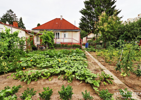 ABSOLUTE REAL / Stavebný pozemok 818 m2, ulica Na Grbe, Devínska Nová Ves, (voda, elektrina, plyn, kanalizácia, studňa - na pozemku), dostupná optika
