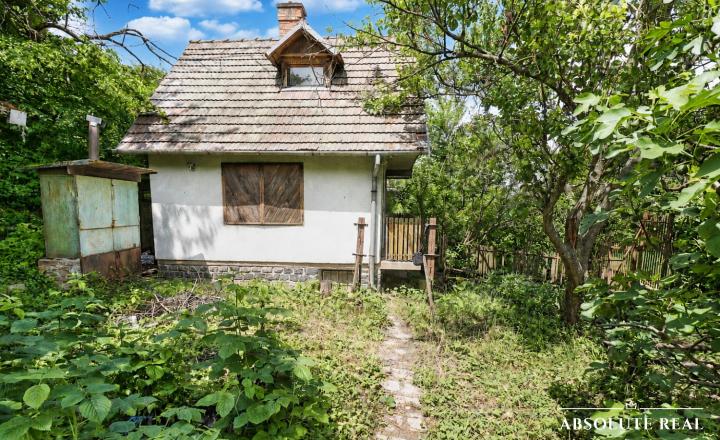 ABSOLUTE REAL / ZÁHRADA 364 m2, BRATISLAVA – DÚBRAVKA, Hanulova ulica, elektrina, mestská voda, oplotenie, chata - fotografia 6