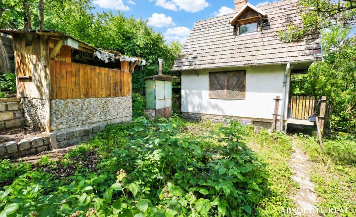ABSOLUTE REAL / ZÁHRADA 364 m2, BRATISLAVA – DÚBRAVKA, Hanulova ulica, elektrina, mestská voda, oplotenie, chata - fotografia 1